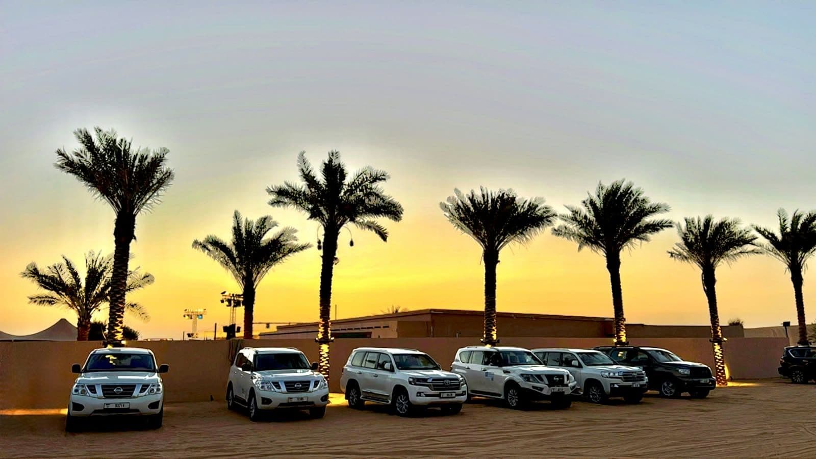 White 4x4 vehicles parked under palm trees at the desert camp at dusk